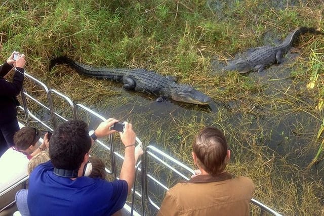 Central Florida Everglades Airboat Tour with Transport